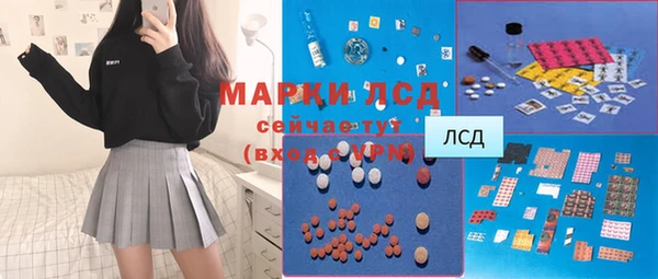 шишки Арсеньев