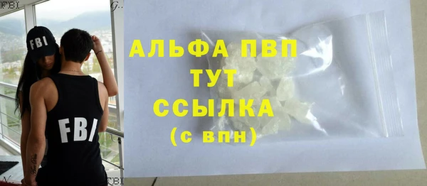 шишки Арсеньев