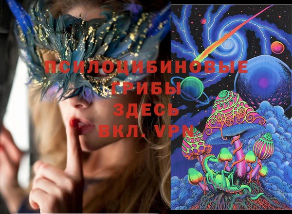 шишки Арсеньев