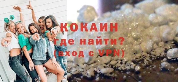 шишки Арсеньев