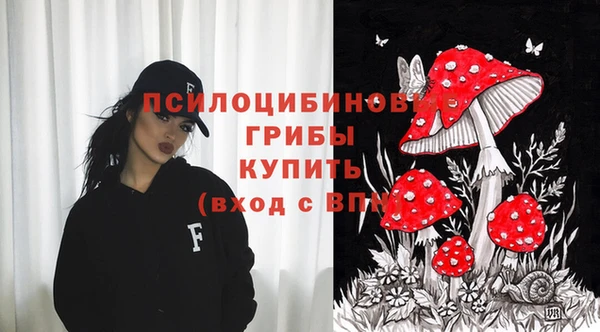 spice Балабаново