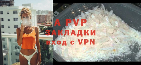 шишки Арсеньев