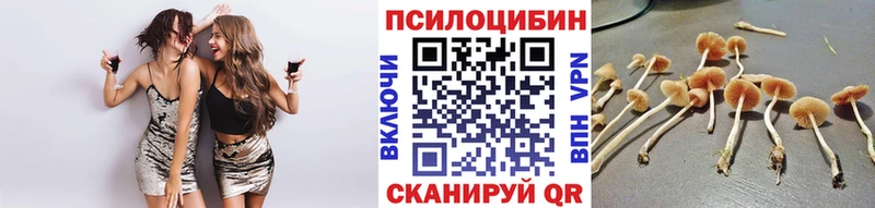 Галлюциногенные грибы мухоморы  Козьмодемьянск 