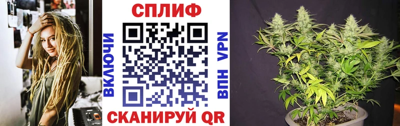 Марихуана сатива  KRAKEN как войти  Козьмодемьянск 
